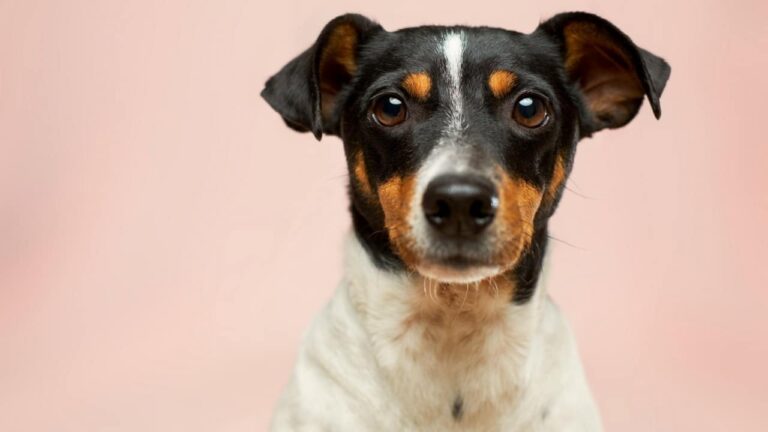 2631415ea882c633e2ae47d7ba29247d