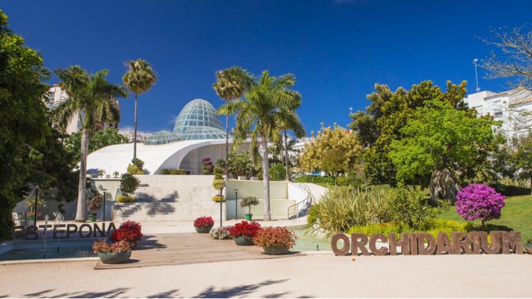 42972a879867ed09ad1c6abe59012f19