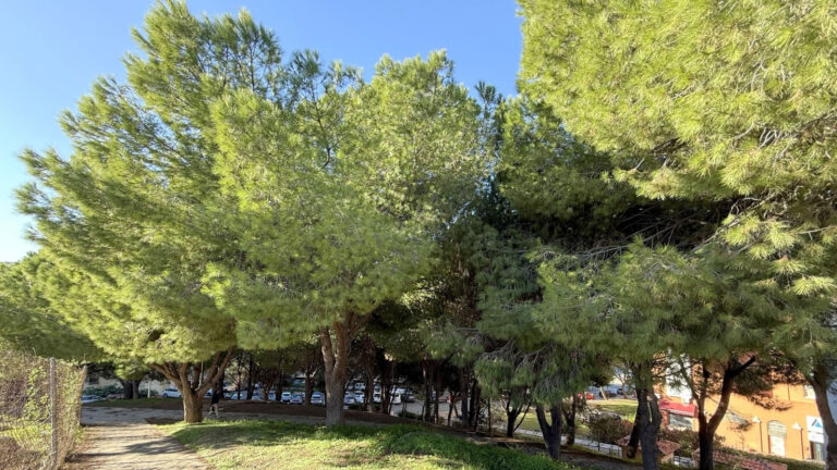 48650b7bfb145a6dbdafda5daef2f043