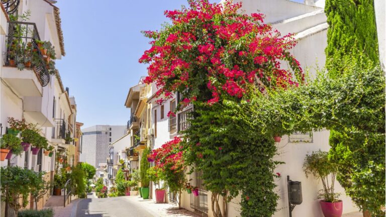 614d675fa84349a7187575ad35b351ec