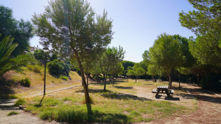 7bd9178513a1e5da415ad75cd59a4335