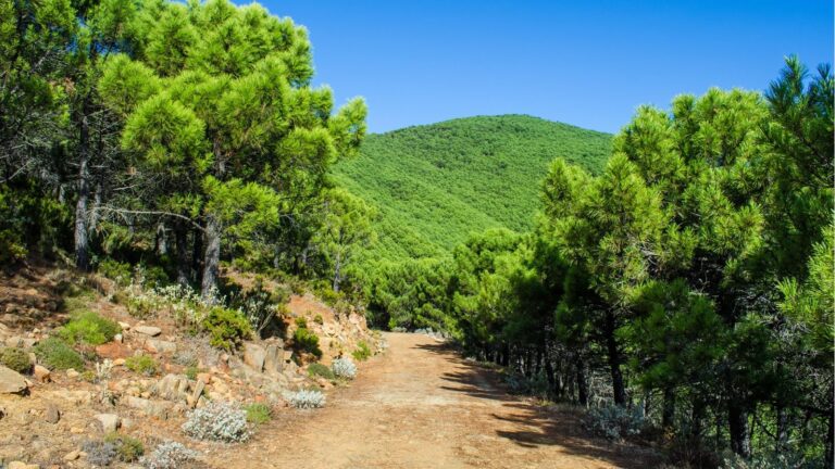 a84c30fb14e7e769a362d301c2818410