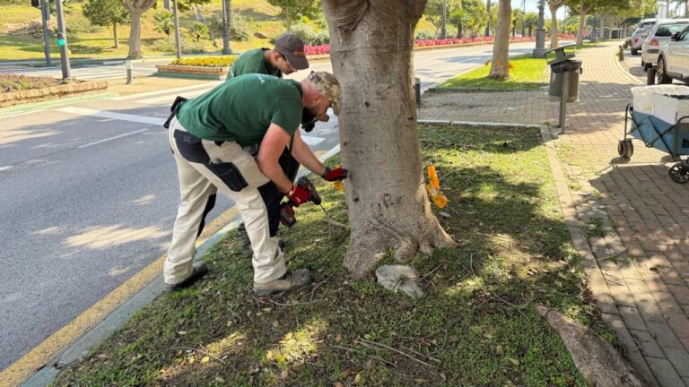 ad07ea7cc3c84414d680e38827649782