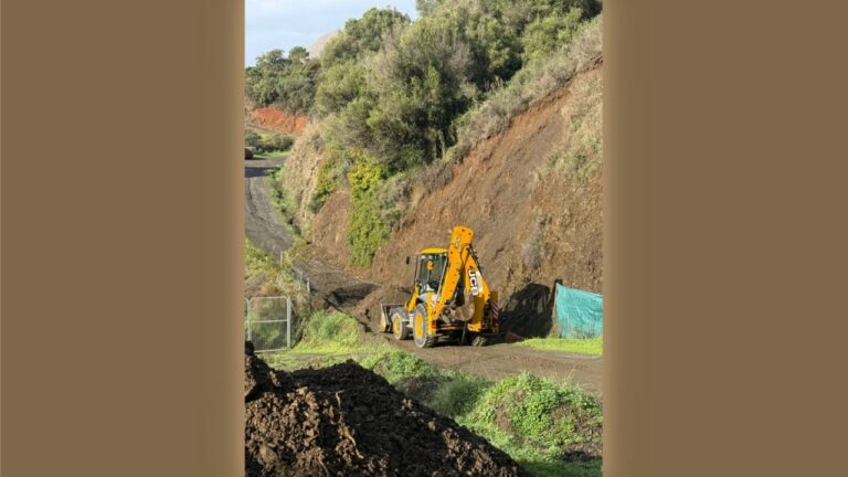 Städtischer Rat setzt kommunale Brigaden zur Reinigung und Reparatur von Straßen nach dem Sturm ein