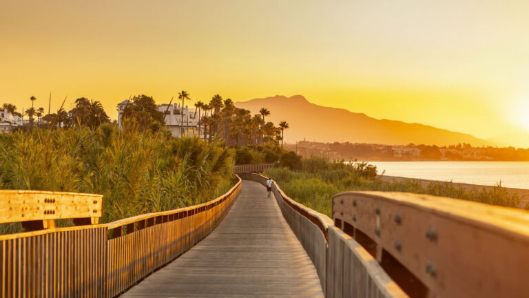 cf29523c02d3f89ced98c7c58dffce2a